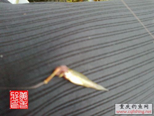 20120926866_.jpg