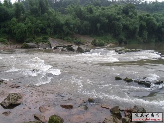 DSCF2185.jpg