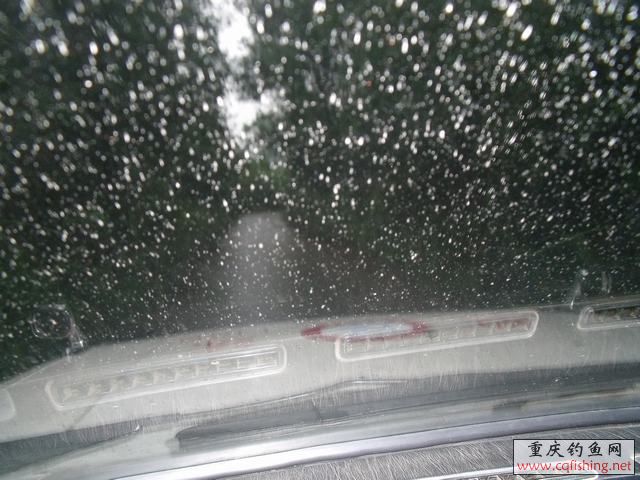 DSCF2157.jpg