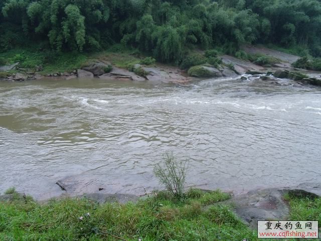 DSCF2180.jpg