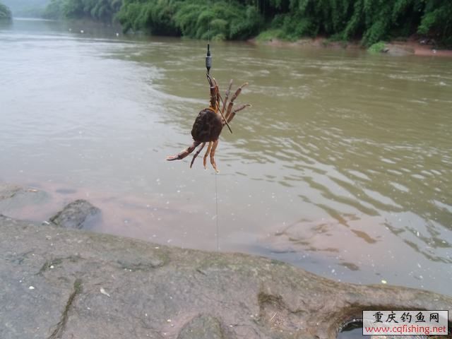 DSCF2203.jpg