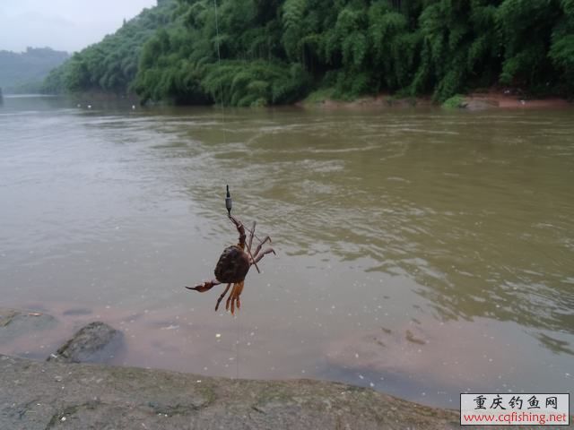 DSCF2201.jpg