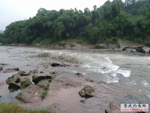 DSCF2186.jpg