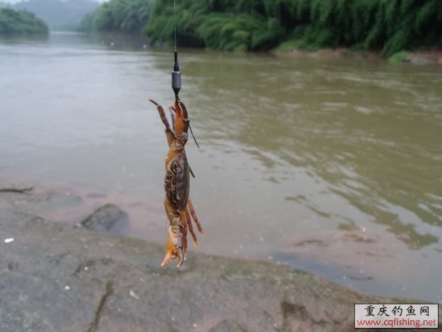 DSCF2202.jpg