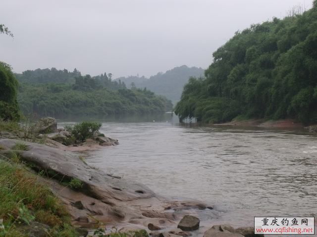 DSCF2188.jpg