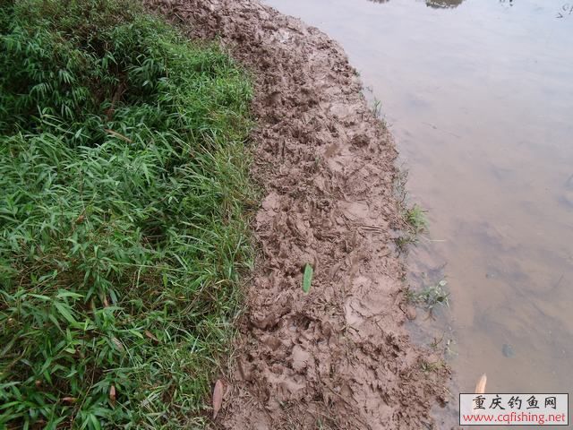 DSCF2207.jpg
