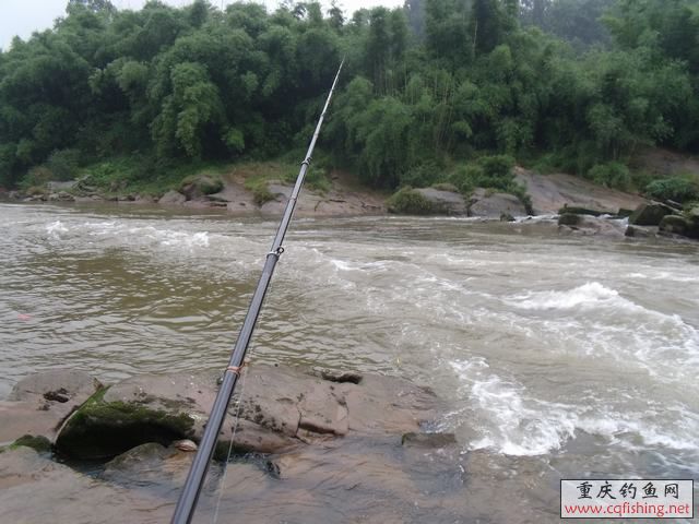 DSCF2190.jpg
