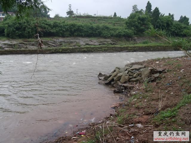DSCF2213.jpg
