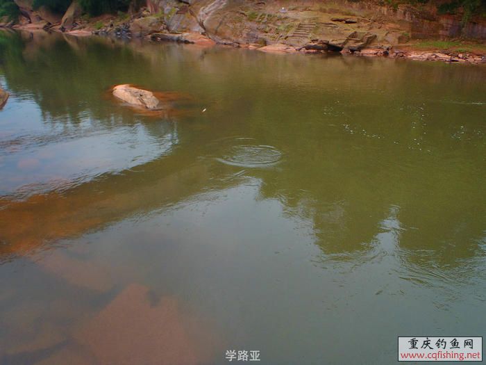 PA300368.JPG