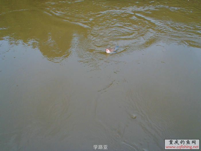PA300386.JPG