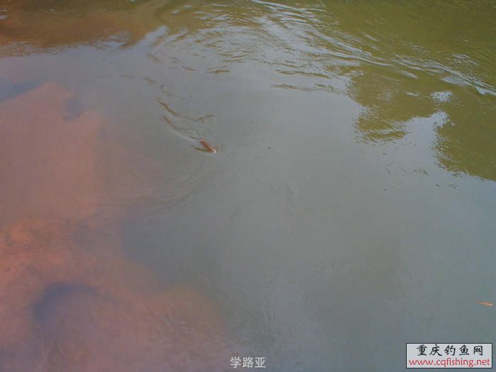 PA300373.JPG