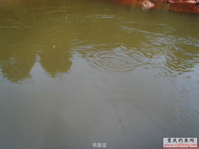 PA300372.JPG