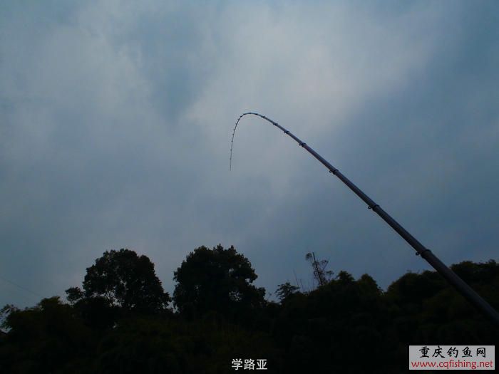 PA300370.JPG
