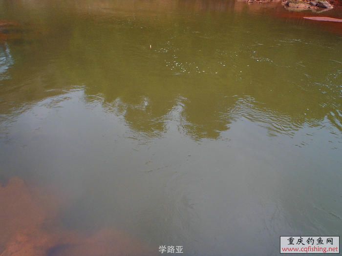 PA300367.JPG