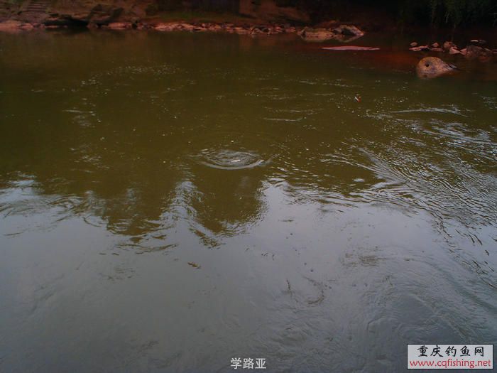 PA300411.JPG
