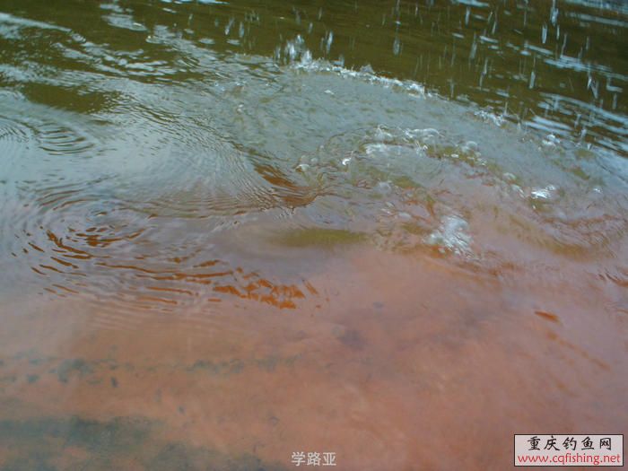 PA300425.JPG