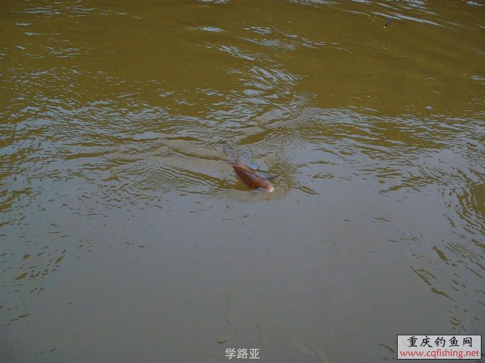 PA300409.JPG