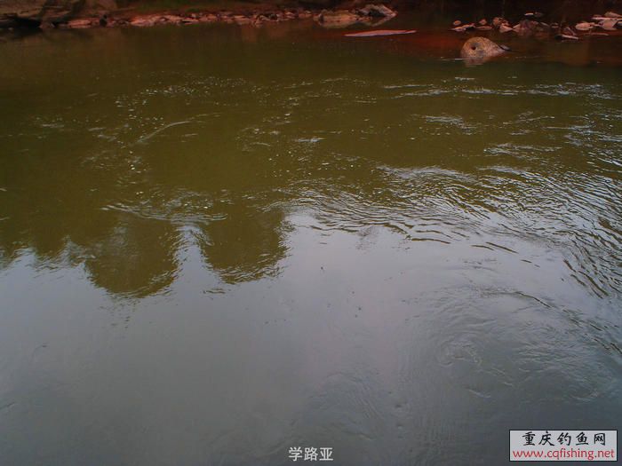 PA300410.JPG