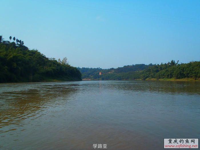 PB010471.JPG