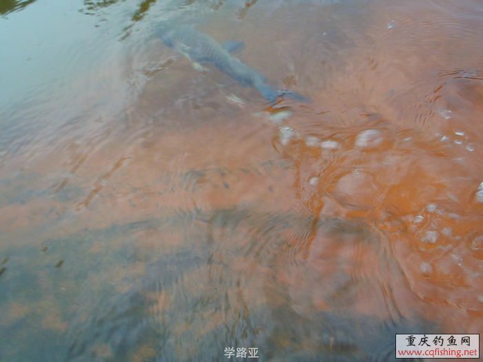 PA300427.JPG