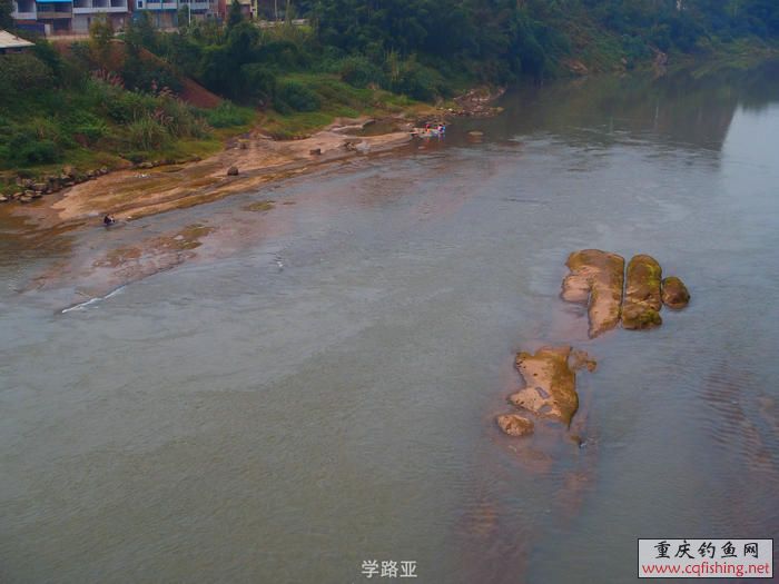 PB010462.JPG