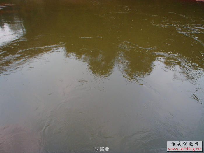 PA300413.JPG