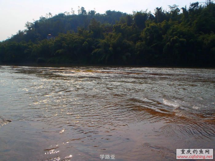 PB010472.JPG