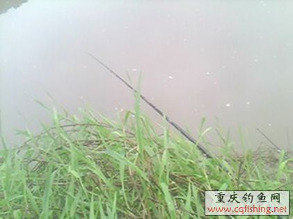 IMG0295A.jpg