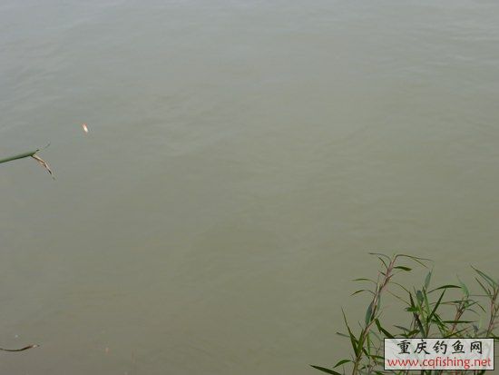 P1020659_.jpg