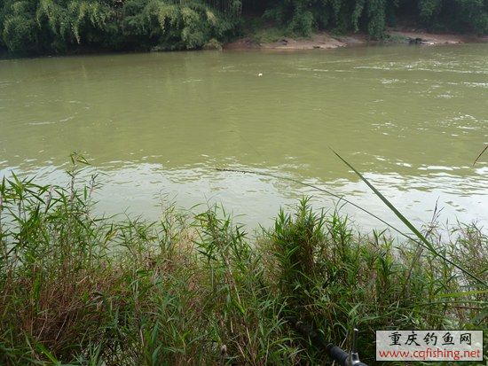 P1020658_.jpg