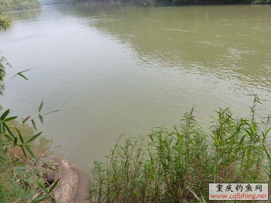 P1020656_.jpg