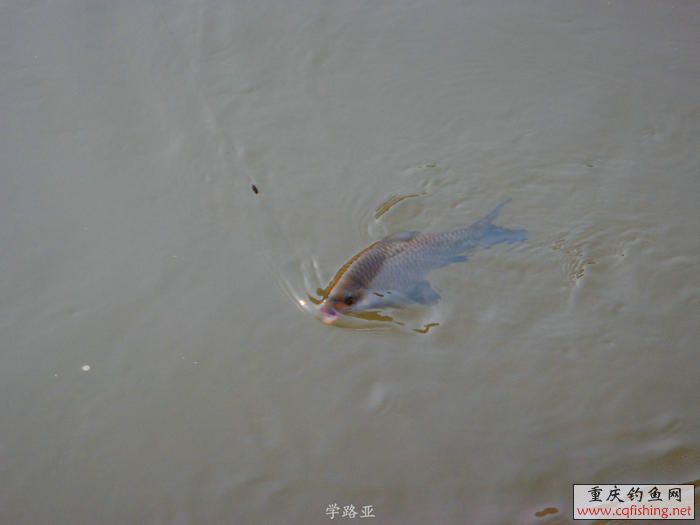 PB180618.JPG