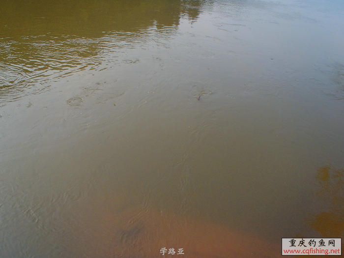 PB180614.JPG