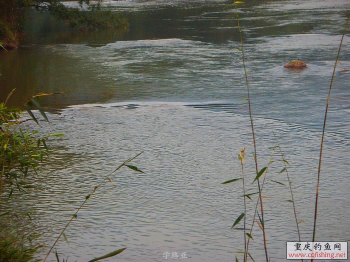 PB180677.JPG