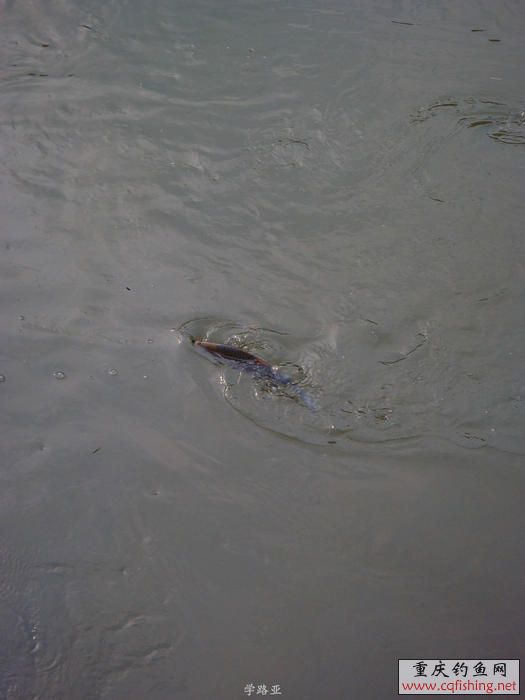 PB180635.JPG