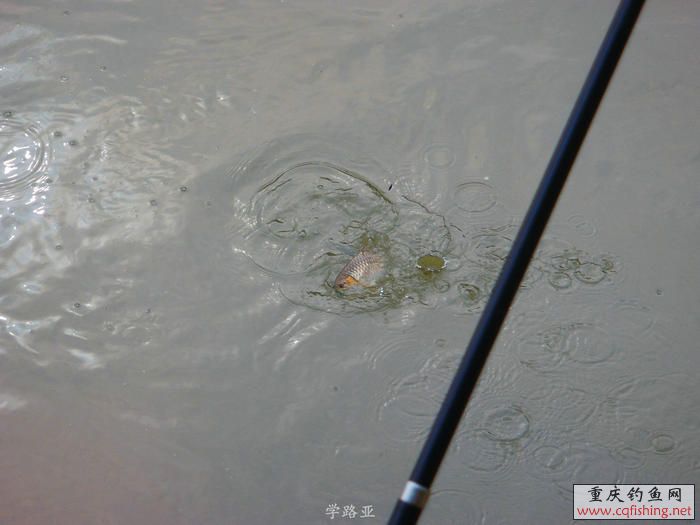 PB180631.JPG