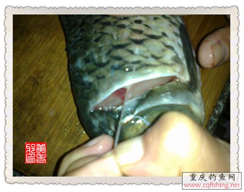 201211191121__.jpg