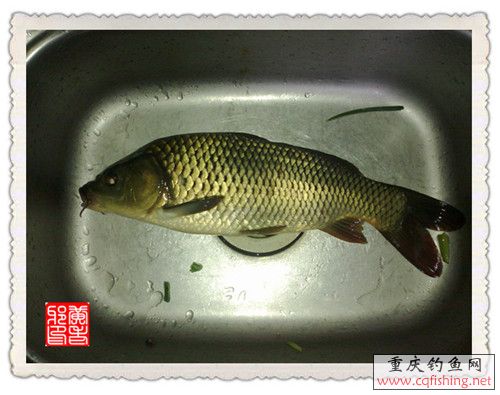 201211191116__.jpg
