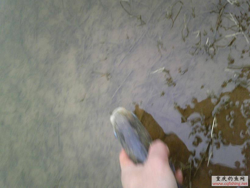 Image475.jpg