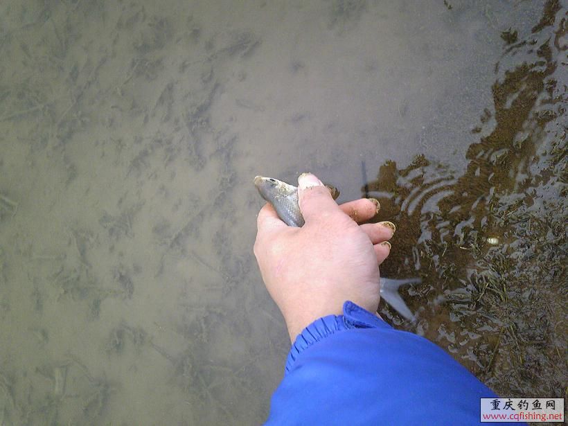 Image470.jpg