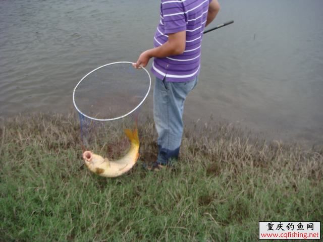 12090222533dd8c6546565df27.jpg