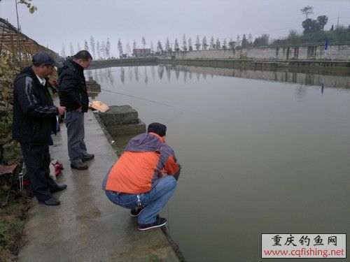 2012-11-25-689.jpg