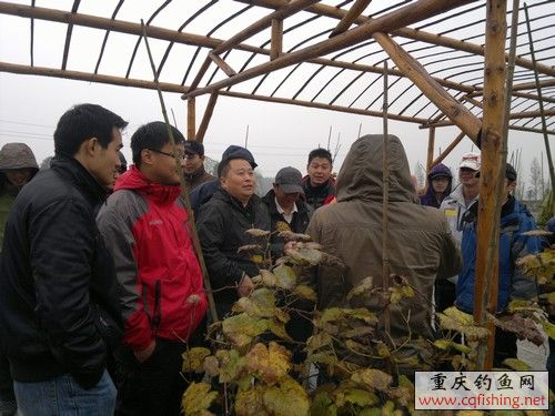 2012-11-25-704.jpg