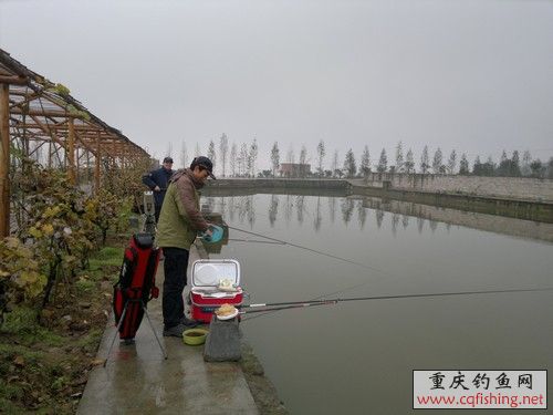 2012-11-25-685.jpg