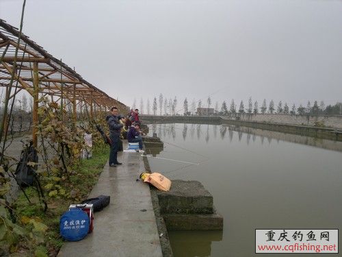 2012-11-25-682.jpg