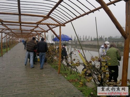 2012-11-25-700.jpg