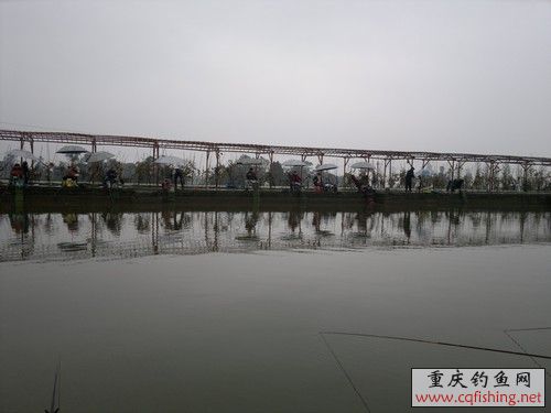 2012-11-25-709.jpg