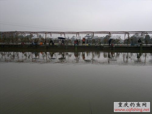 2012-11-25-708.jpg